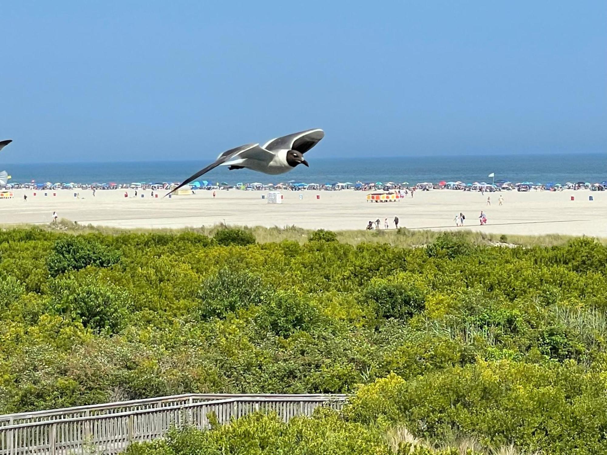 Beach Colony Motel Wildwood Crest Esterno foto